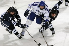 开云-姆巴佩赛点兑现，菲尼克斯太阳淘汰费内巴切晋级四强，主帅激动落泪